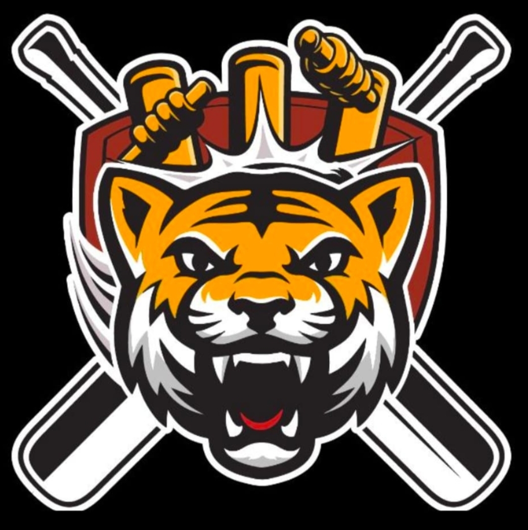 Kota tigers
